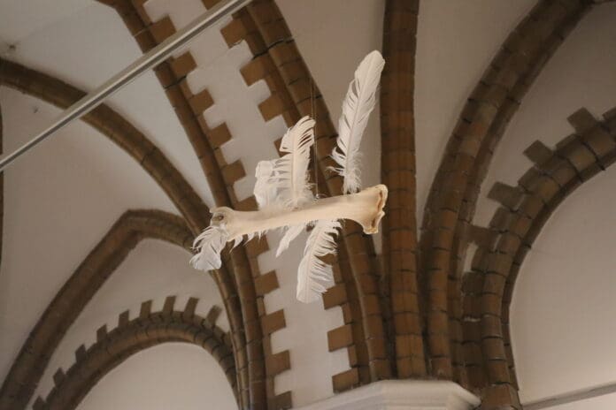 Ein Knochen, der wie ein Vogel mit Federn in der Luft fliegt